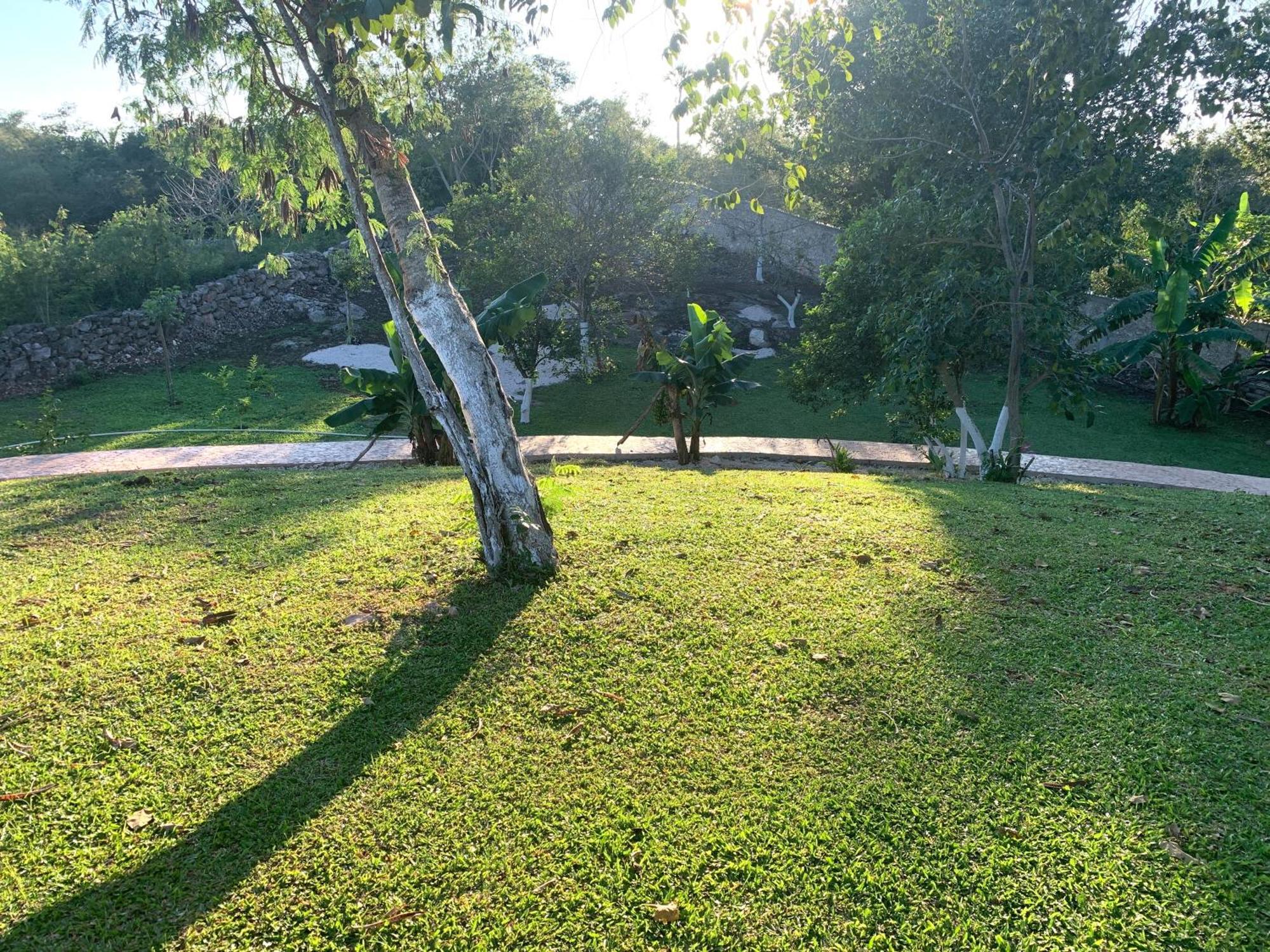 Villa Quinta Yaaxbe Homun Exterior foto
